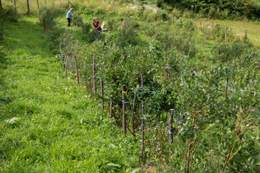 Similar image 21967389