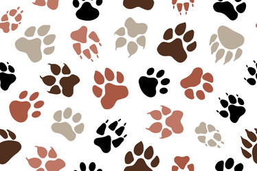 Similar image 21968659