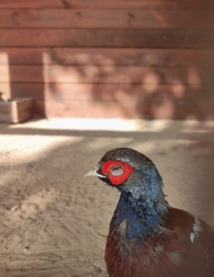 Similar image 21951503