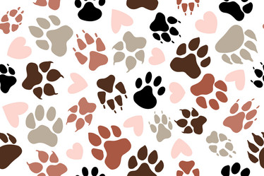 Similar image 21968660