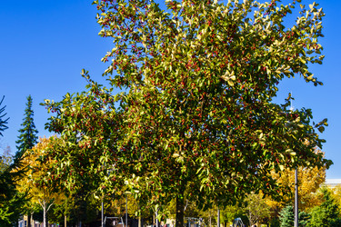 Similar image 21965974