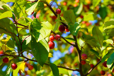 Similar image 21965975