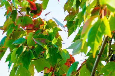 Similar image 21965976