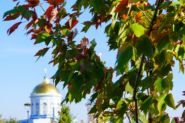 Similar image 21965977