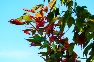 Similar image 21965979