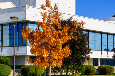 Similar image 21965980