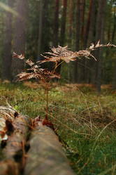 Similar image 21969290