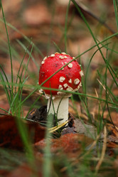 Similar image 21969291