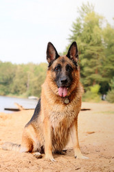 Similar image 21969292