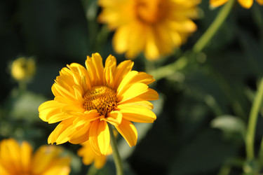 Similar image 21970674