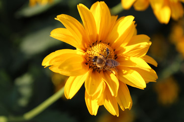 Similar image 21970676