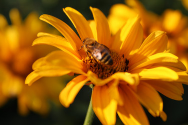 Similar image 21970677