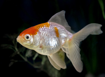 Similar image 21969990