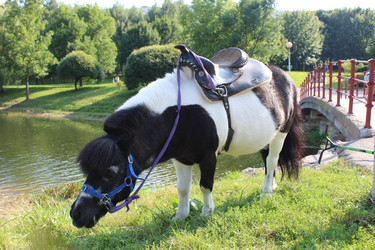 Similar image 21970679