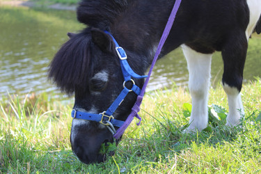 Similar image 21970680