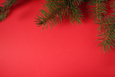 Similar image 21970707