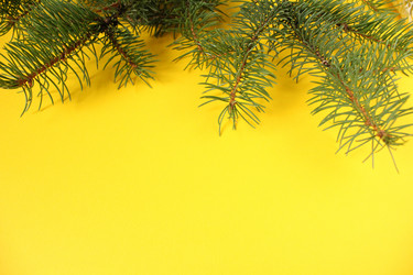 Similar image 21970709