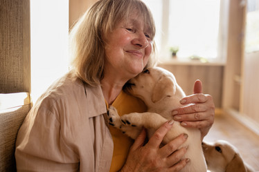 Similar image 21960725