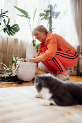 Similar image 21960729