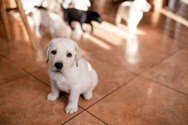 Similar image 21960749