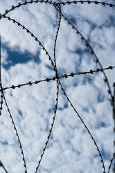 Similar image 21953224