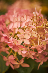 Similar image 21973615