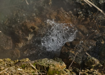 Similar image 21974858