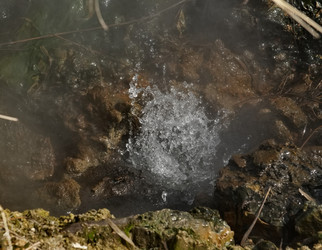 Similar image 21974859