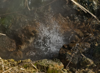 Similar image 21974860