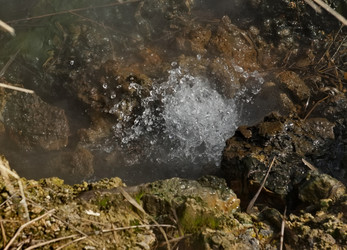 Similar image 21974861