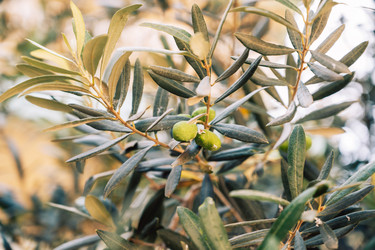 Similar image 21954152