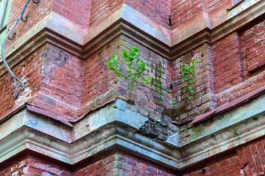 Similar image 21951326