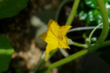 Similar image 21969353