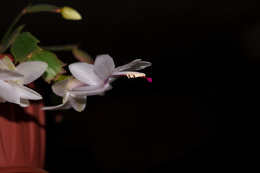 Similar image 21969354