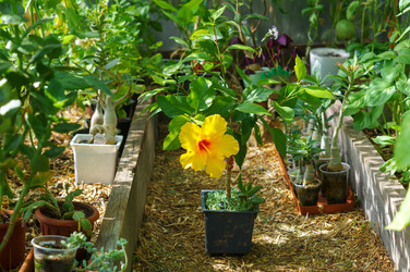 Similar image 21955333