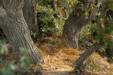 Similar image 21953232