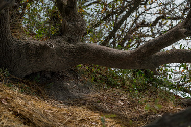 Similar image 21953233