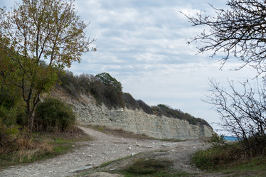 Similar image 21953234