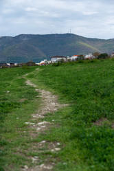 Similar image 21951329