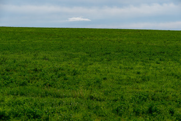 Similar image 21951331