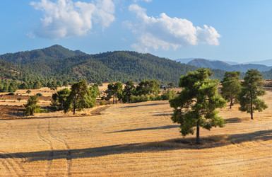 Similar image 21952365