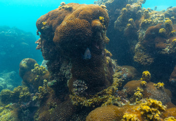 Similar image 21952378