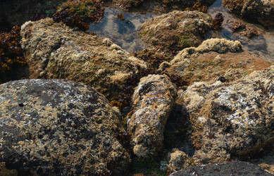 Similar image 21952388