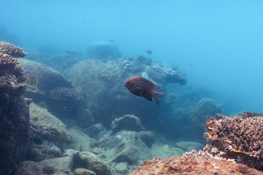 Similar image 21952391