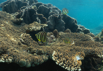 Similar image 21952396