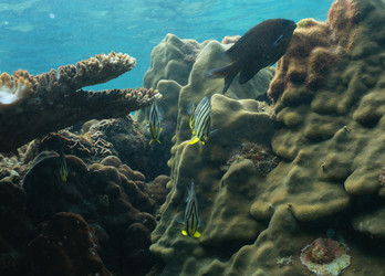 Similar image 21952397