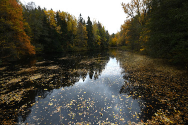 Similar image 21973154