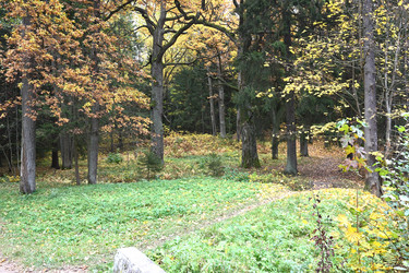 Similar image 21973155