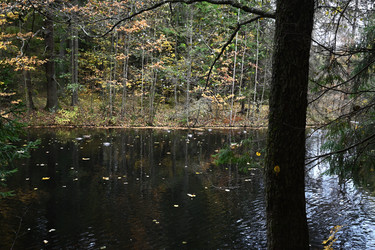 Similar image 21973156