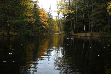 Similar image 21973157